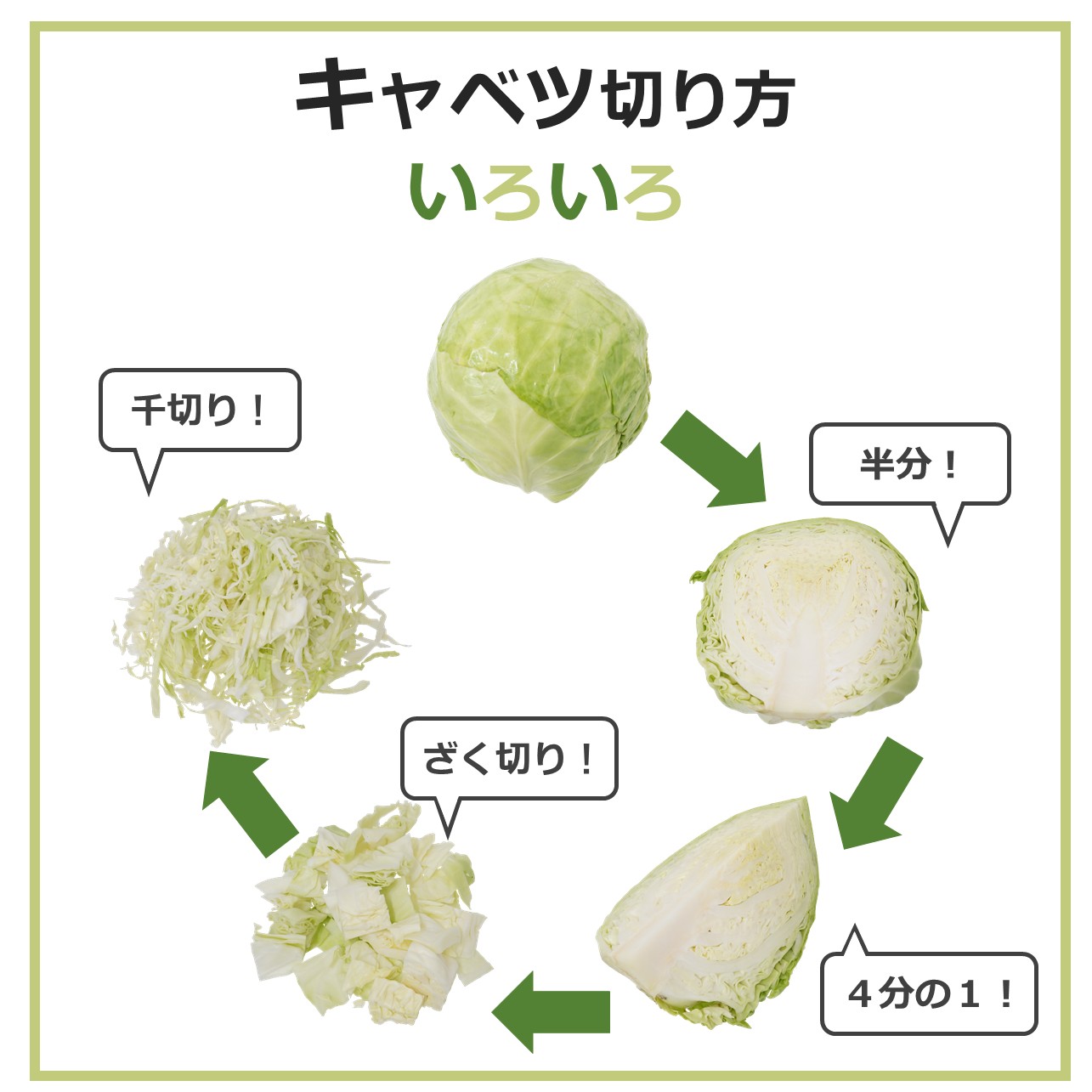 キャベツの切り方大全！ふわふわ千切りから料理別の極意まで徹底解説