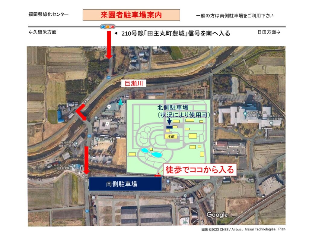 福岡県緑化センター徹底取材！入園無料で楽しむ四季の絶景と穴場攻略