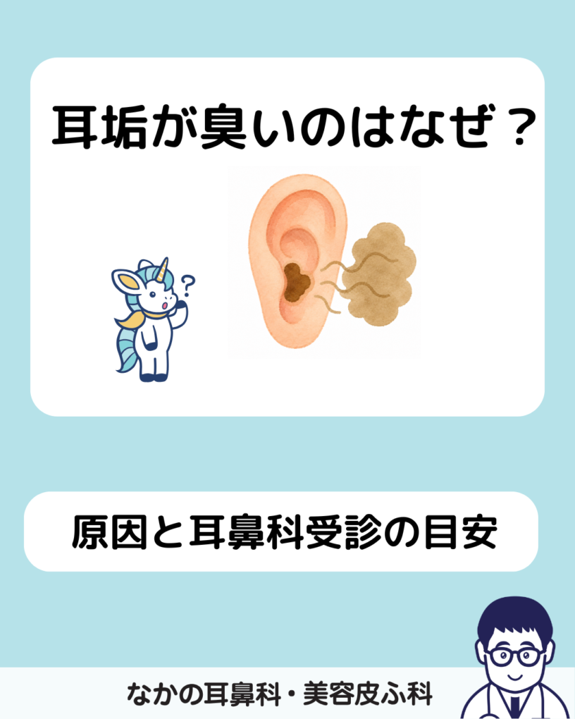 耳が臭い原因と病気のサインは？チーズ臭や耳だれの対処法を徹底解説