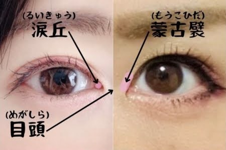 【熱愛】 蒙古 襞 可愛い 人 徹底解説＆真相まとめ #698