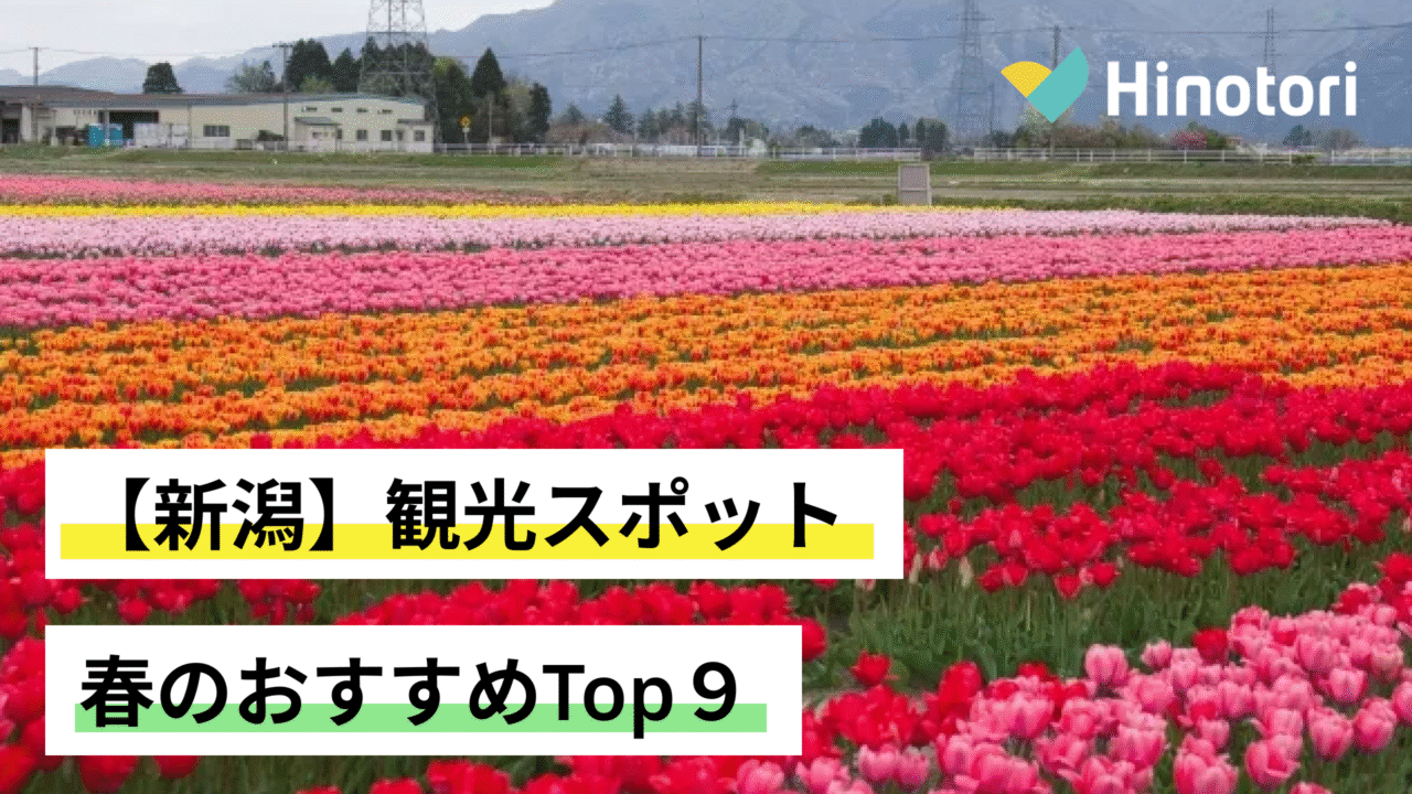 新潟の書道教育が進化！子供の才能を伸ばす指導法と展覧会受賞の秘訣