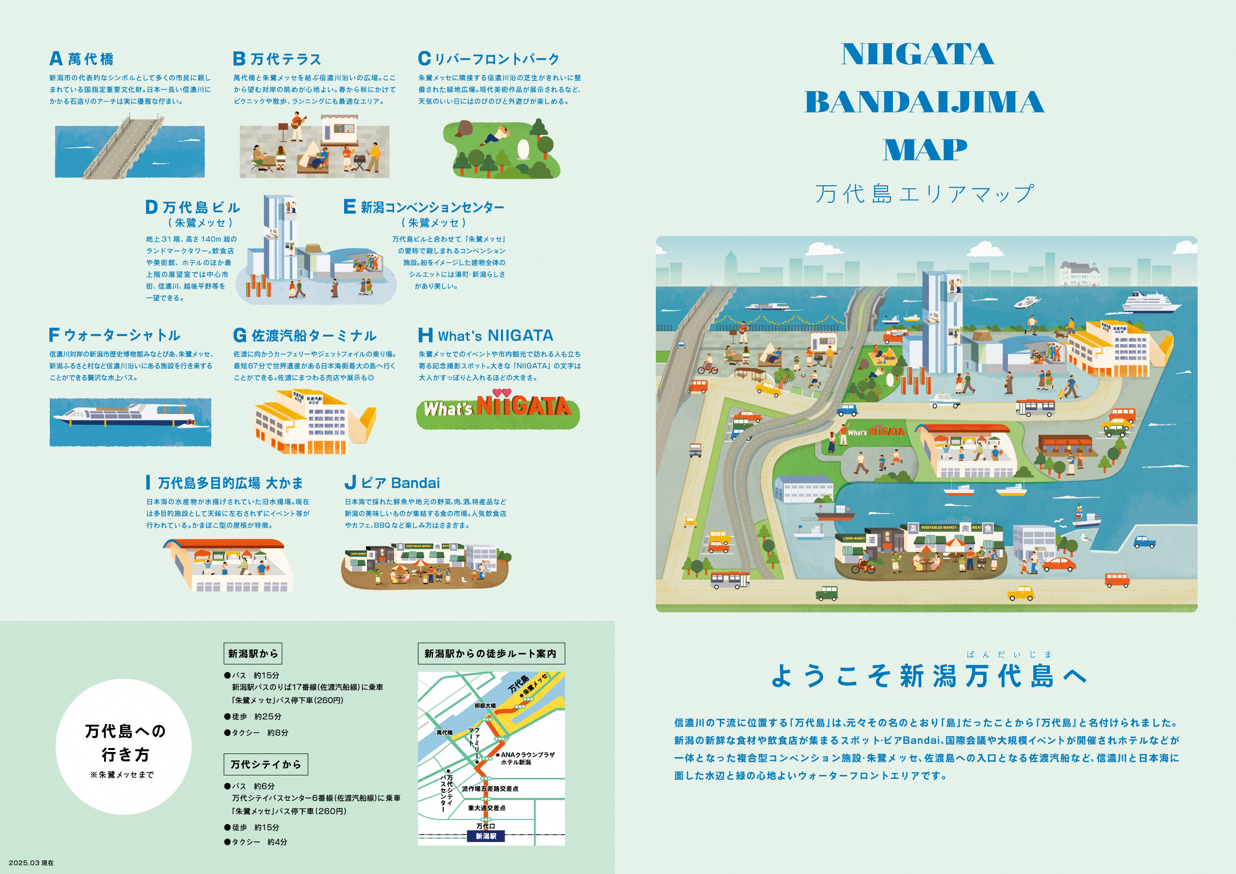 万代島駐車場Aの混雑回避と最大料金・割引の落とし穴を徹底解説