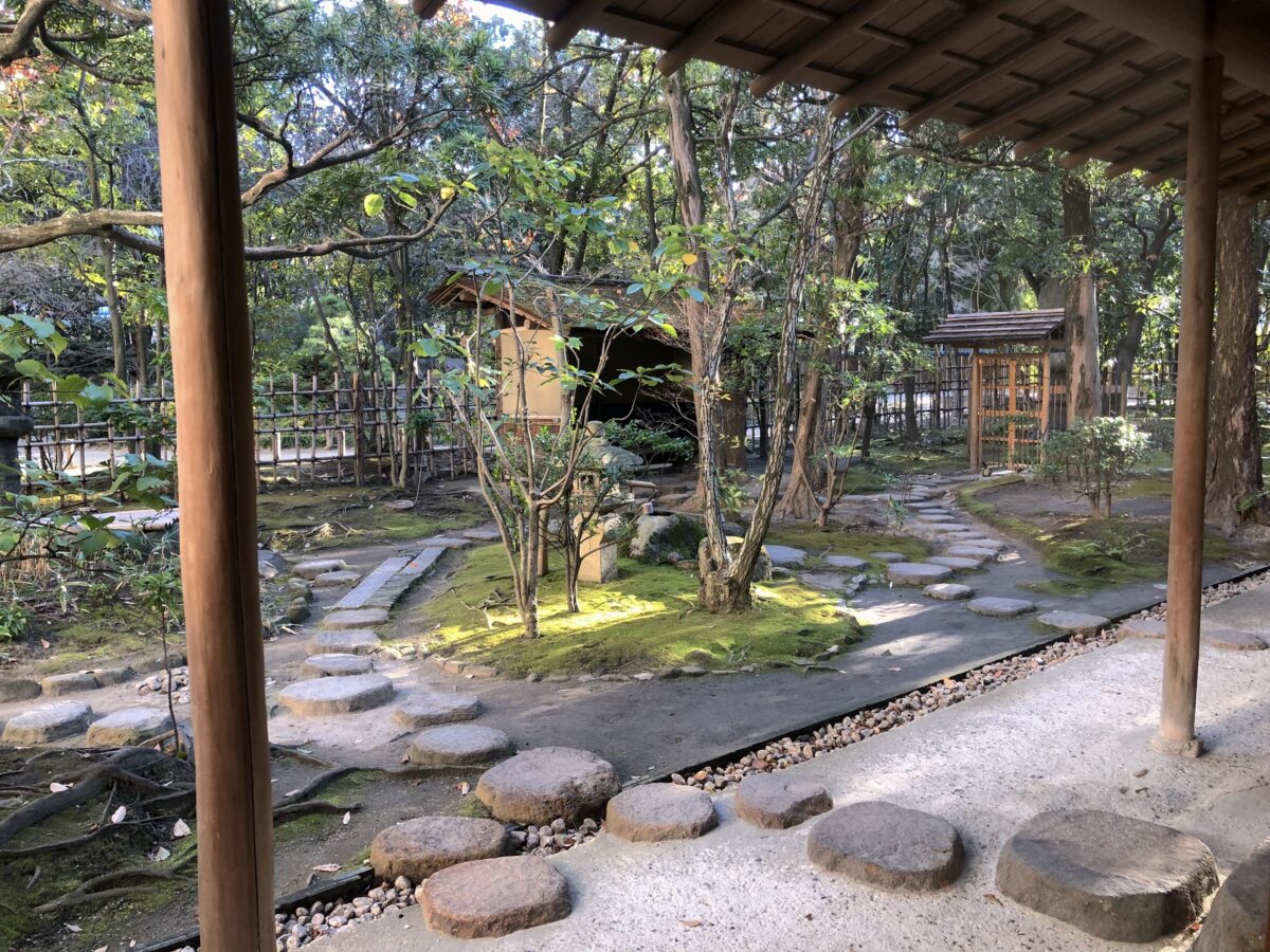 博多駅徒歩圏のオアシス！楽水園の抹茶体験や紅葉・見どころ徹底解剖