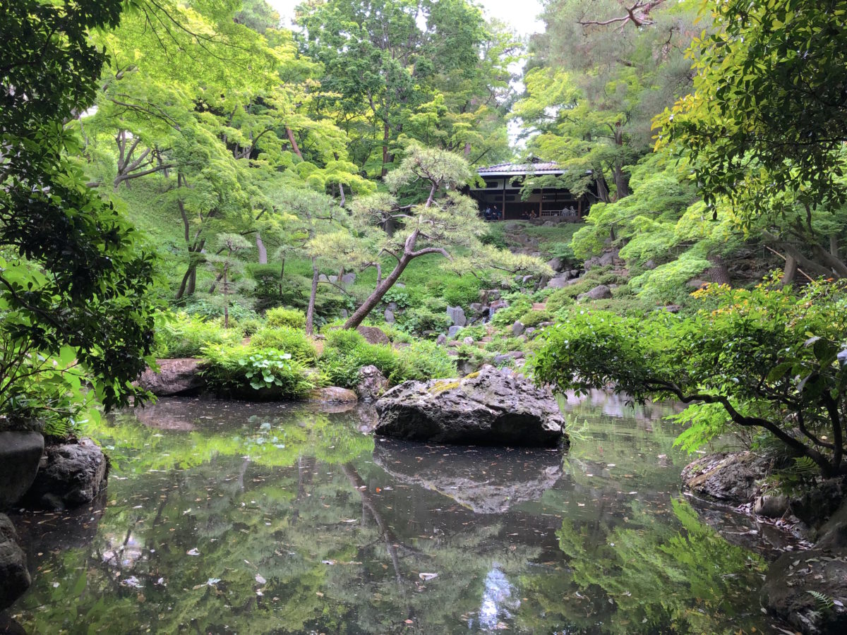 国分寺・殿ヶ谷戸庭園の魅力と歩き方｜紅葉・湧水・歴史を徹底解説