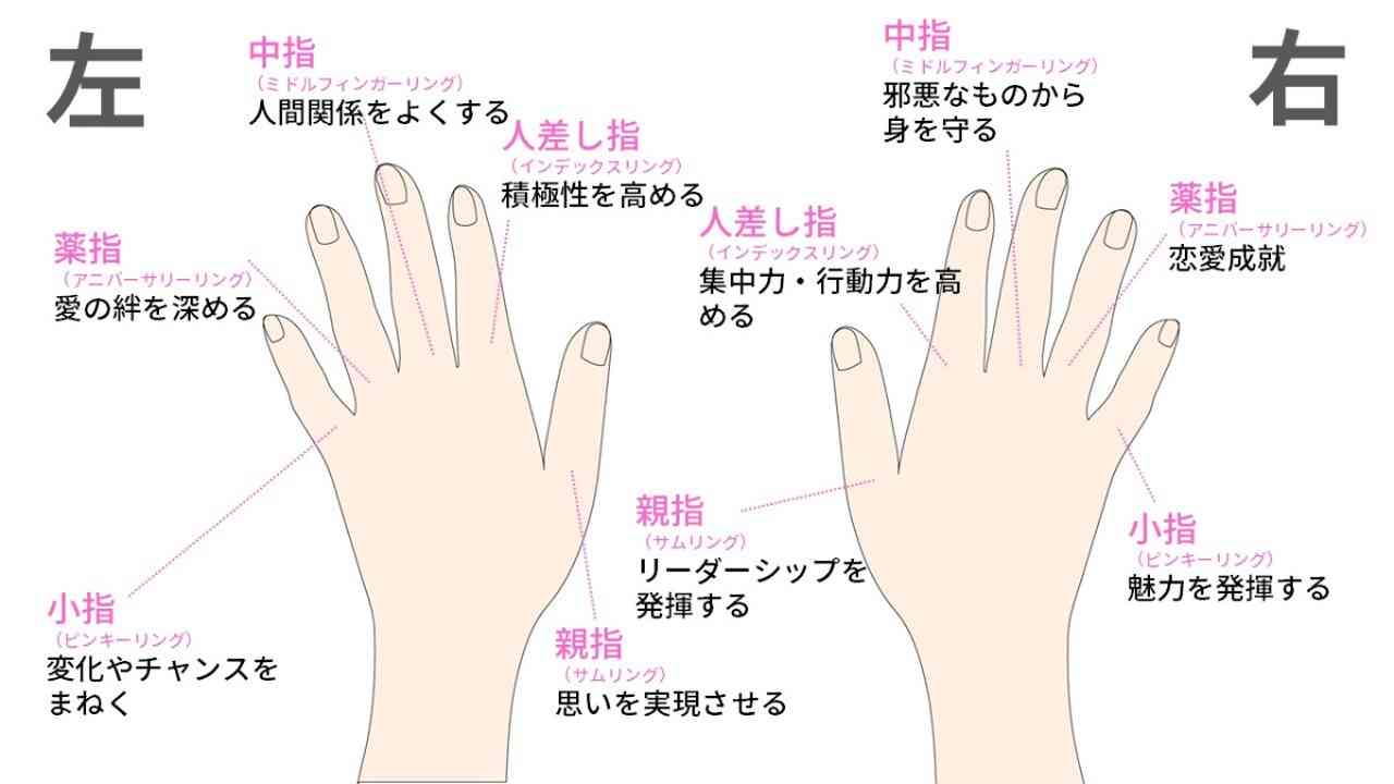 薬指が長い女性芸能人の共通点は？美人で男前な魅力の秘密を徹底解剖