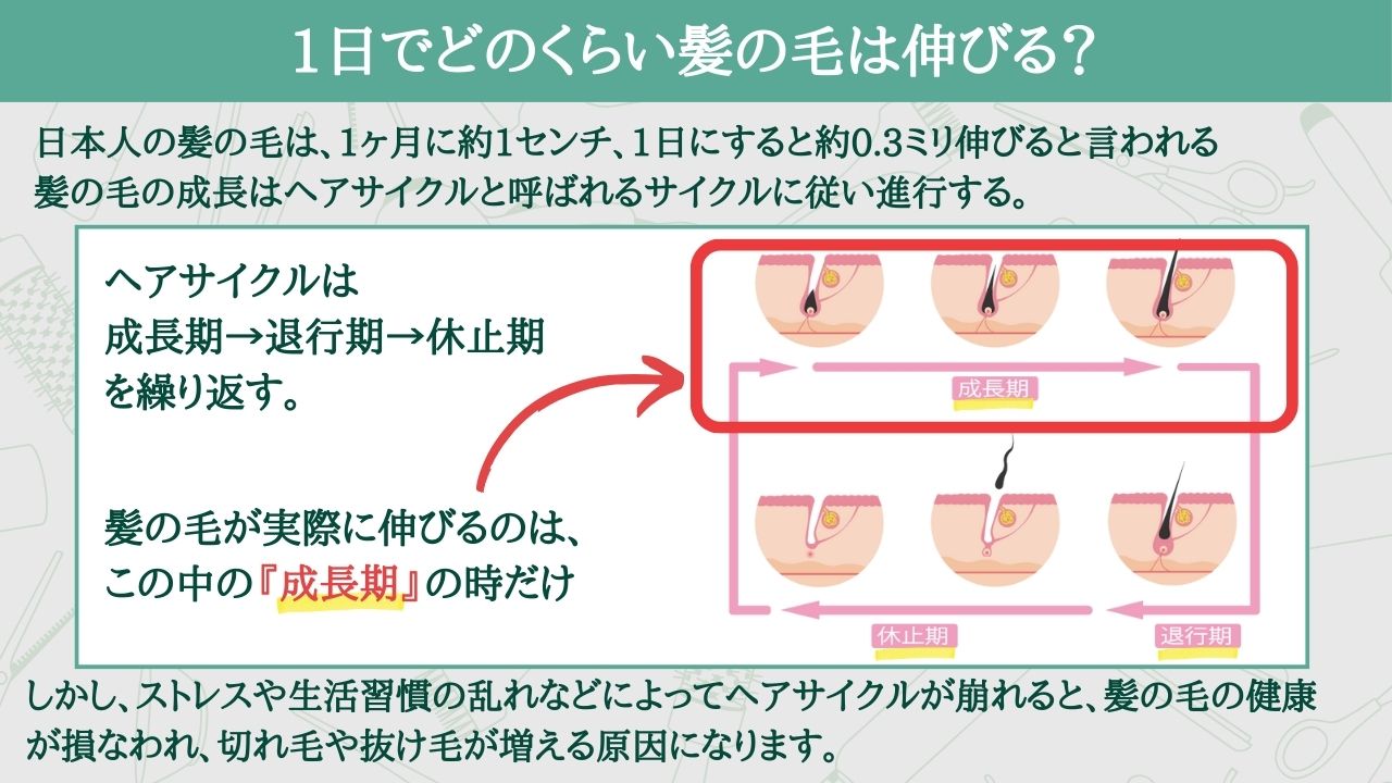 新宿ワシントンホテルの評判と本館・新館の違いを徹底検証【2026最新】