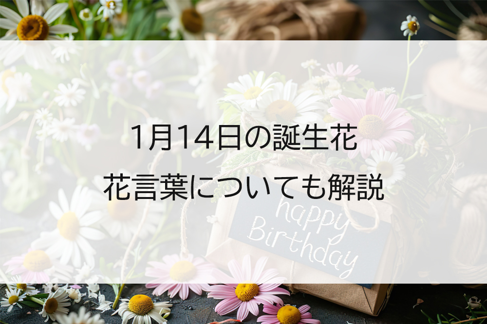 誕生日クーポンアプリ徹底比較！無料特典と限定裏ワザを完全攻略