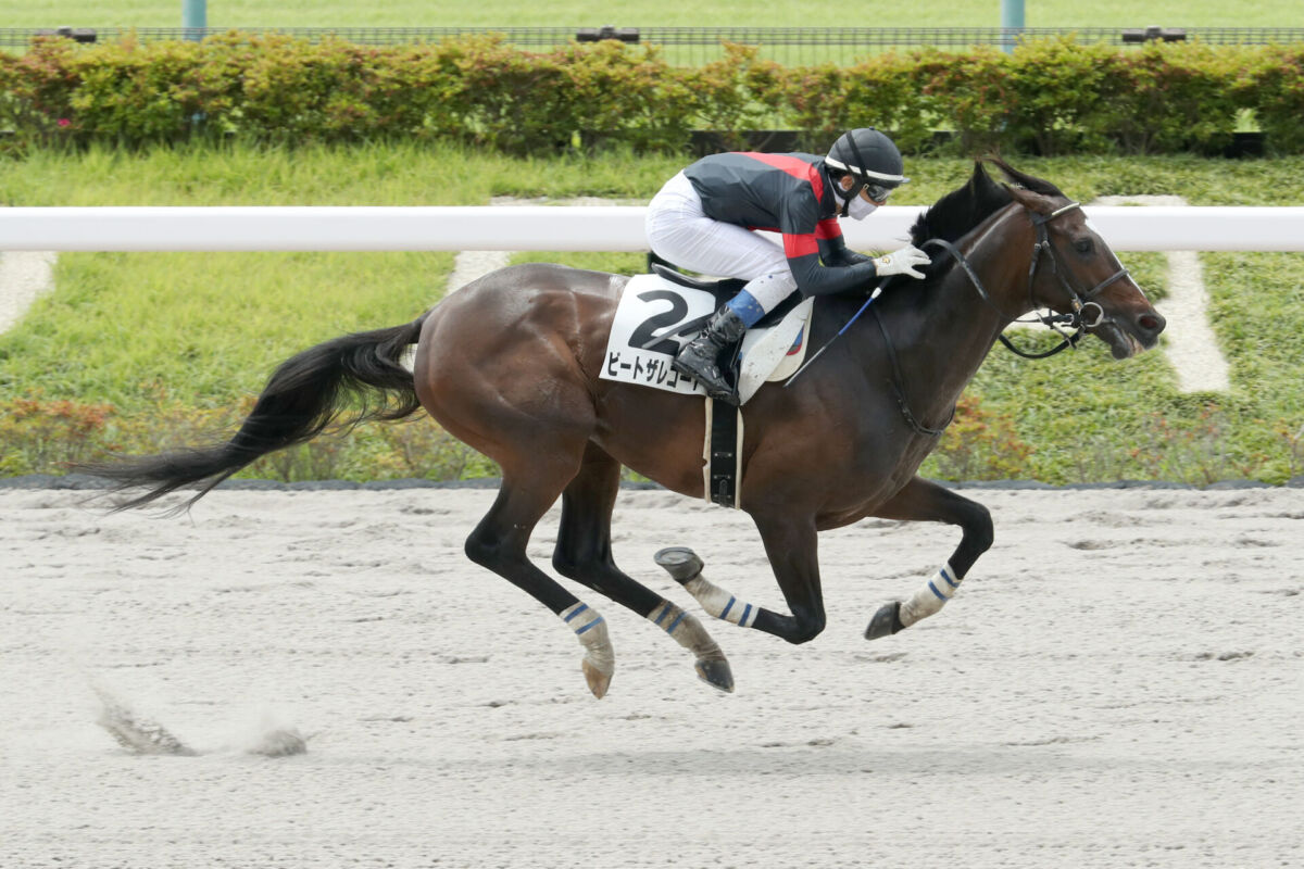【2026】東京1レース攻略！Ai予想と注目穴馬・結果速報まとめ
