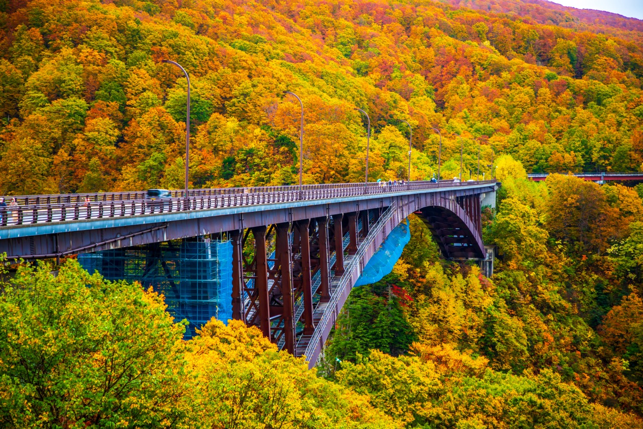 城ヶ倉大橋の紅葉と絶景！心霊の噂・事故の真相と2026年観光ガイド