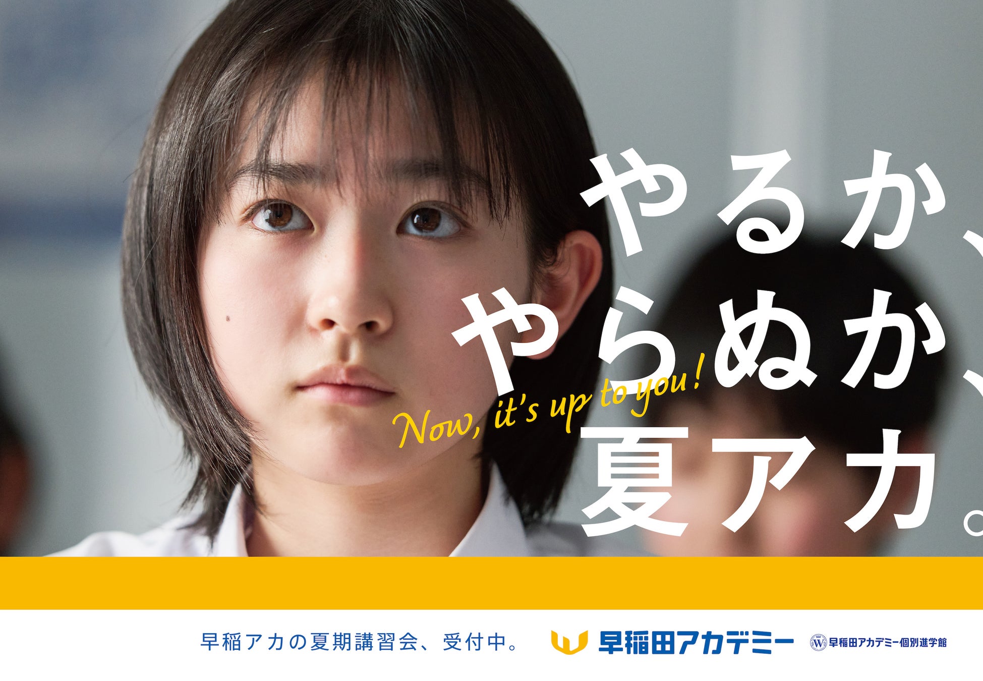 早稲アカ夏期講習2026の真実｜費用ときつい評判の裏側を徹底検証