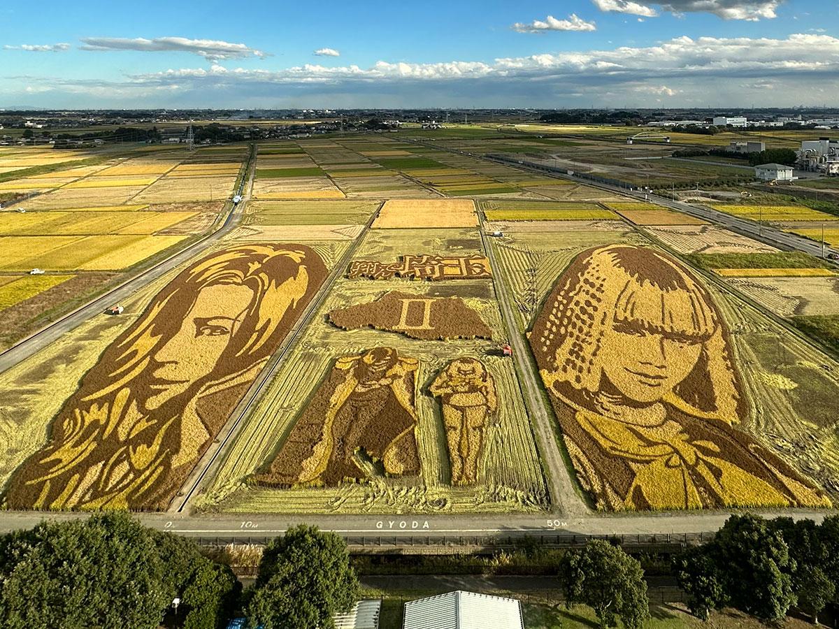 南陽市田んぼアート2026最新情報！見頃時期や歴代デザイン・展望デッキ徹底取材
