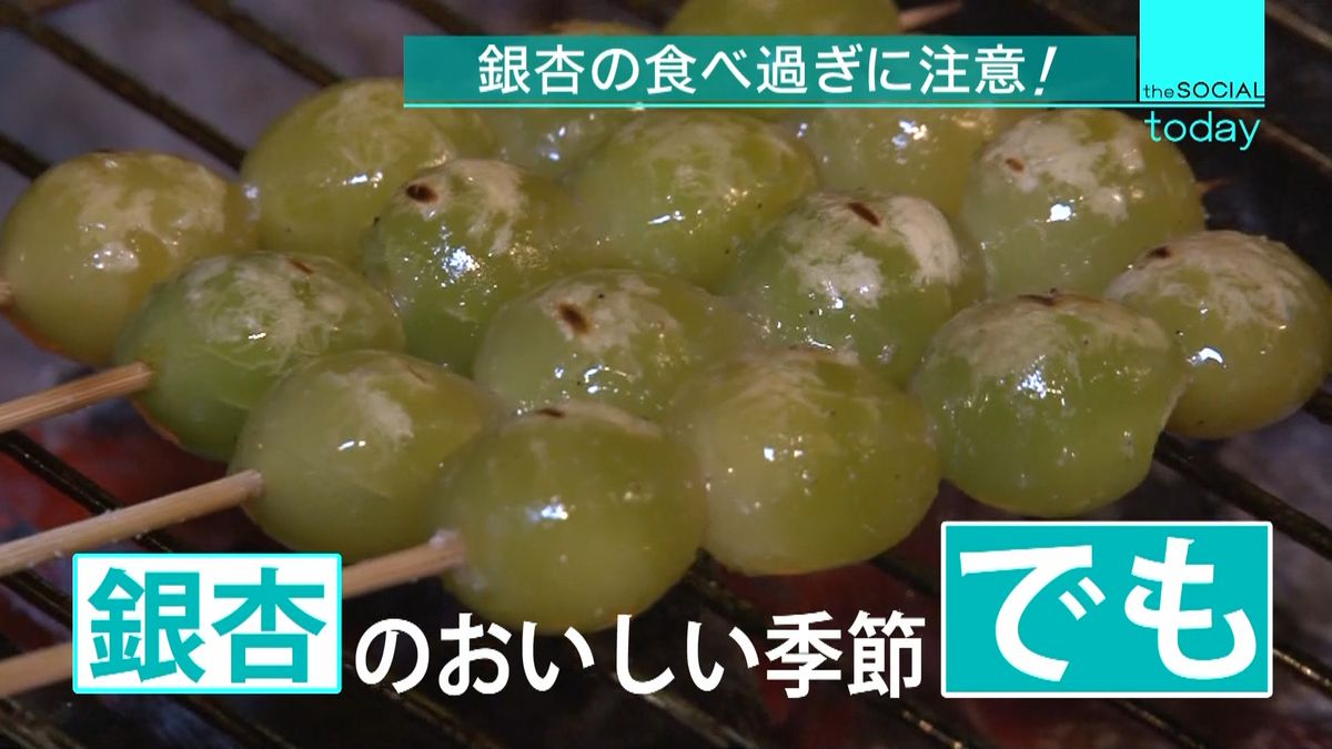 銀杏の食べ過ぎで死亡事故も？中毒症状の正体と大人・子供の致死量