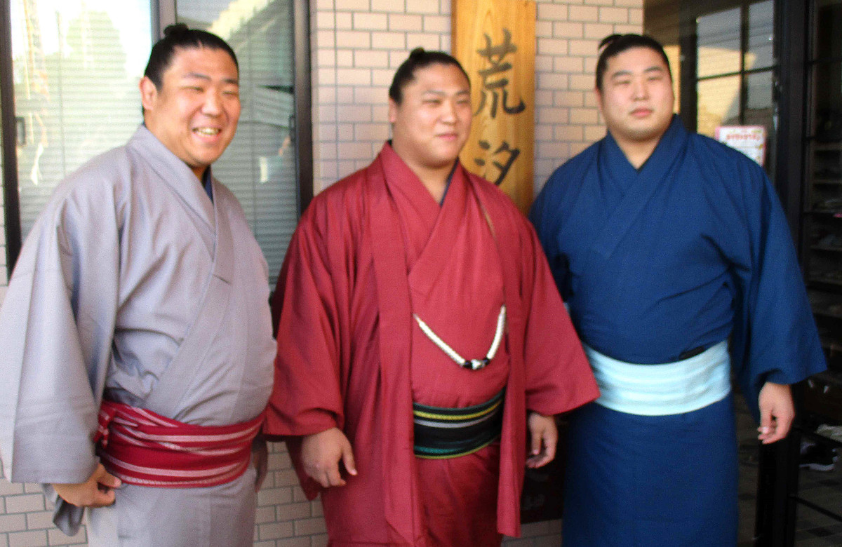 若隆景と大波三兄弟の真実！四股名の由来と番付推移・怪我からの復活