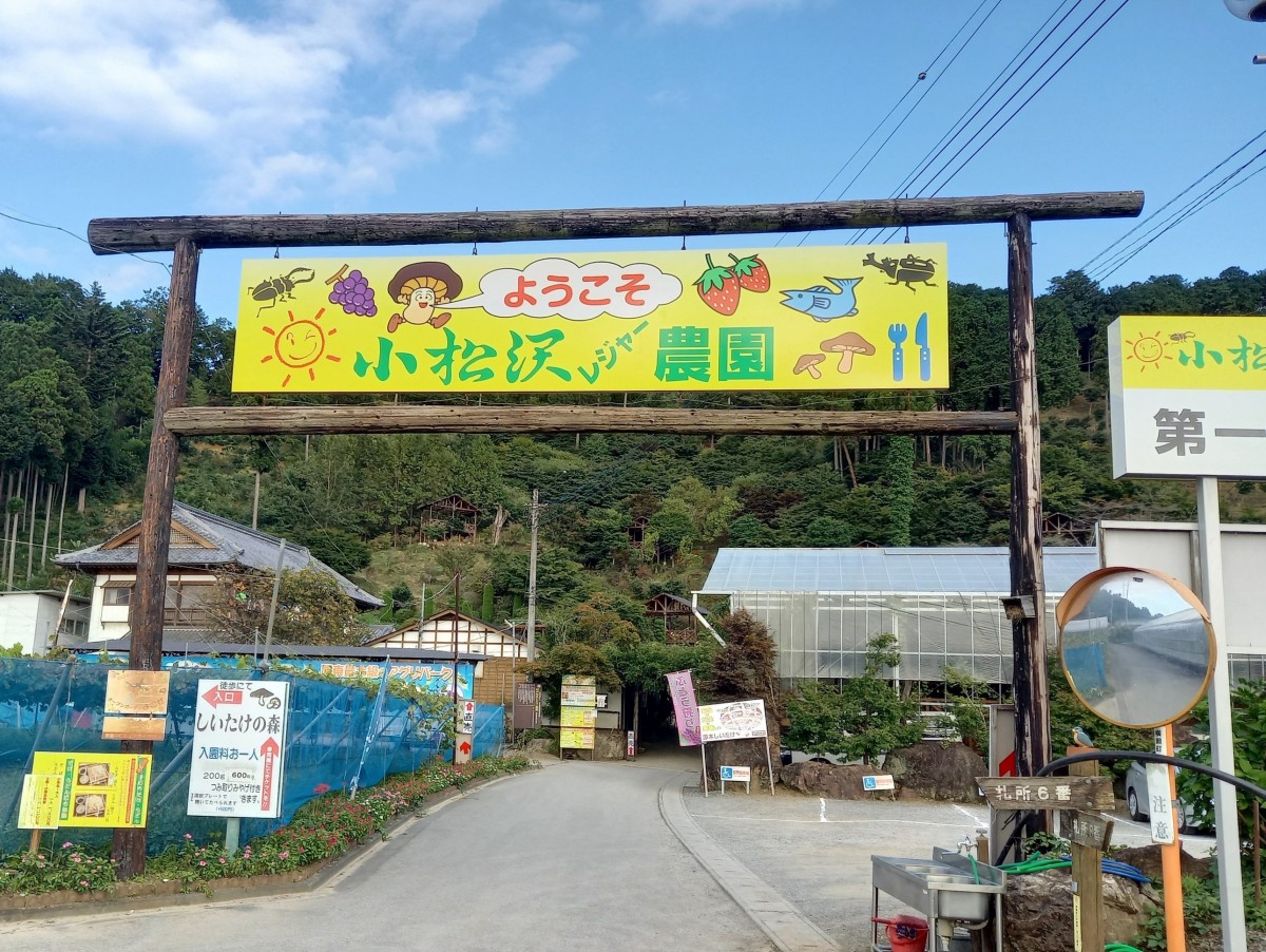 小松沢レジャー農園の口コミ真相！予約なし混雑や料金を徹底解剖