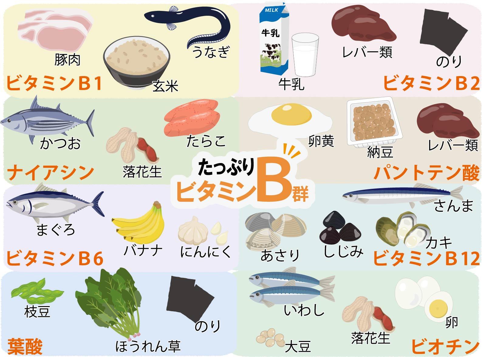 疲労・肌荒れを解消！ビタミンB豊富な食べ物ランキングと調理法完全版