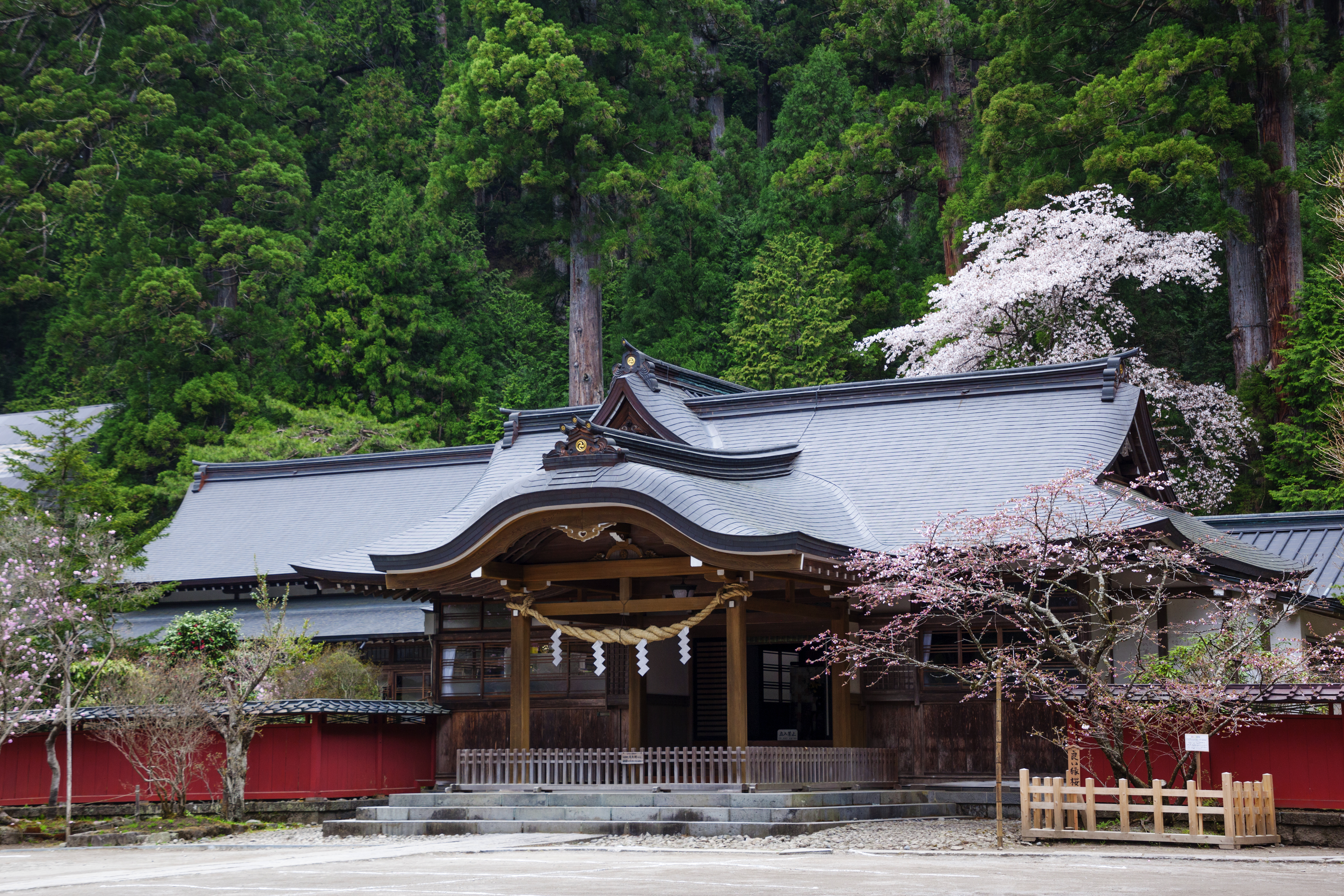日光二荒山神社の真価とは？最強の縁結びと三社巡りの全貌【2026年最新】