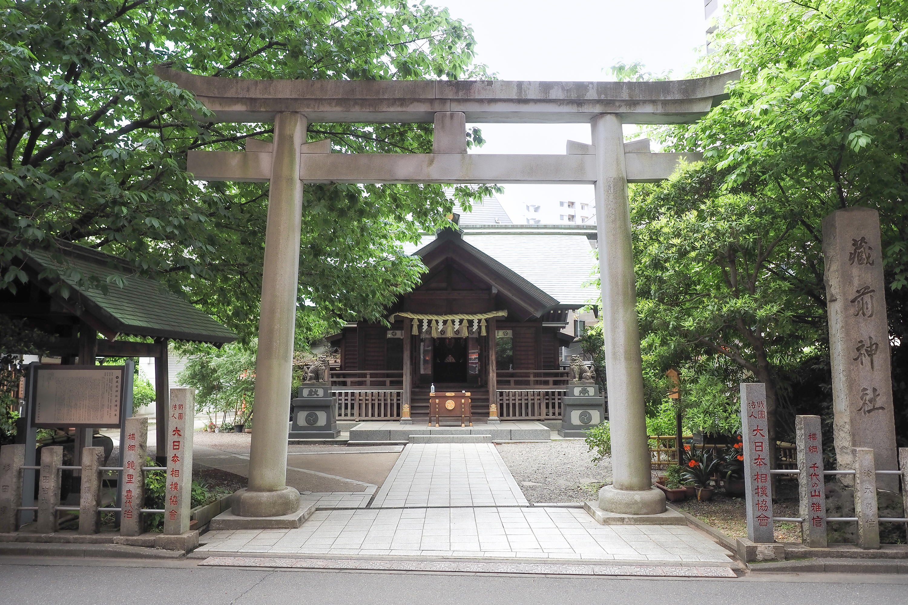 黄色とピンクに染まる奇跡の境内！蔵前神社で出会う春の絶景参拝旅