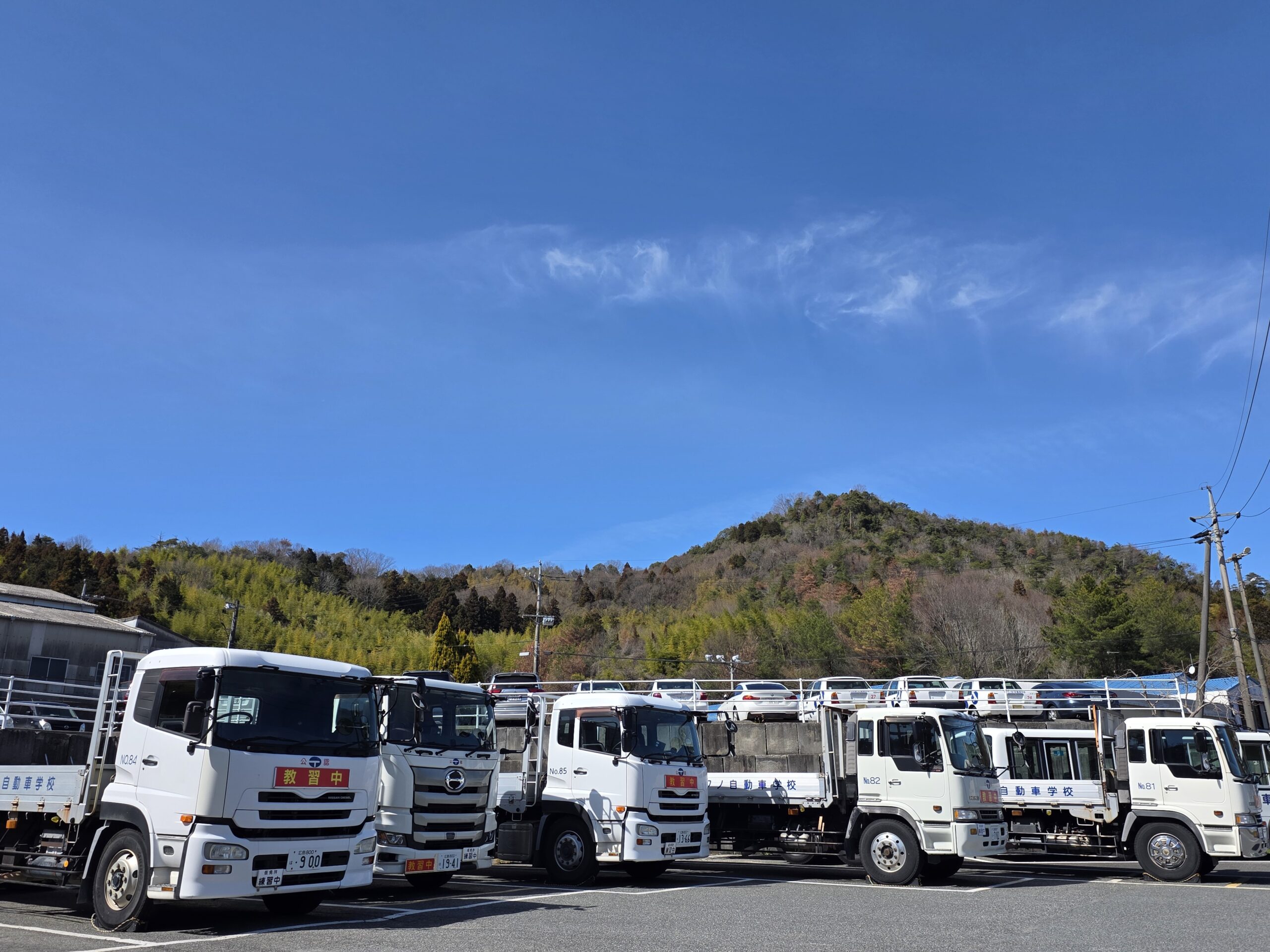 テクノ自動車学校の評判と真相｜合宿費用や教官の口コミを徹底検証