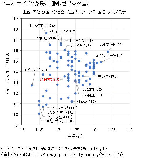ペニスの太さ平均は？最新研究が明かす周径の現実と正しい測り方