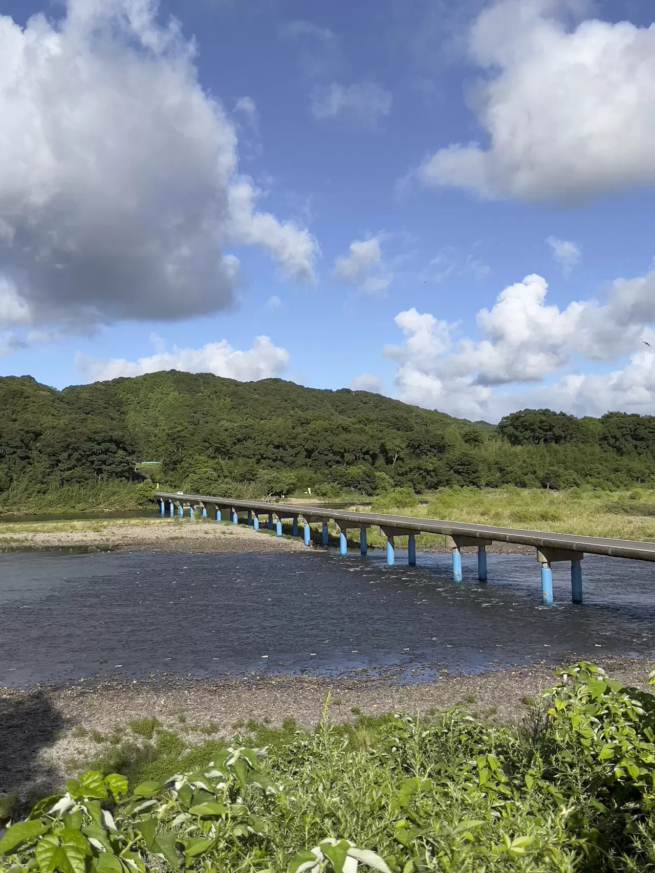【2026年最新】川越市・今成橋の現在地｜工事規制と新河岸川の水位リスクを徹底追跡