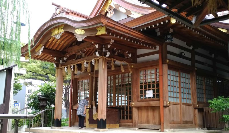2026年、都市の狂騒を逃れて——「白 龍 神社」に参拝客が殺到する衝撃の理由と静かなる龍神ブーム