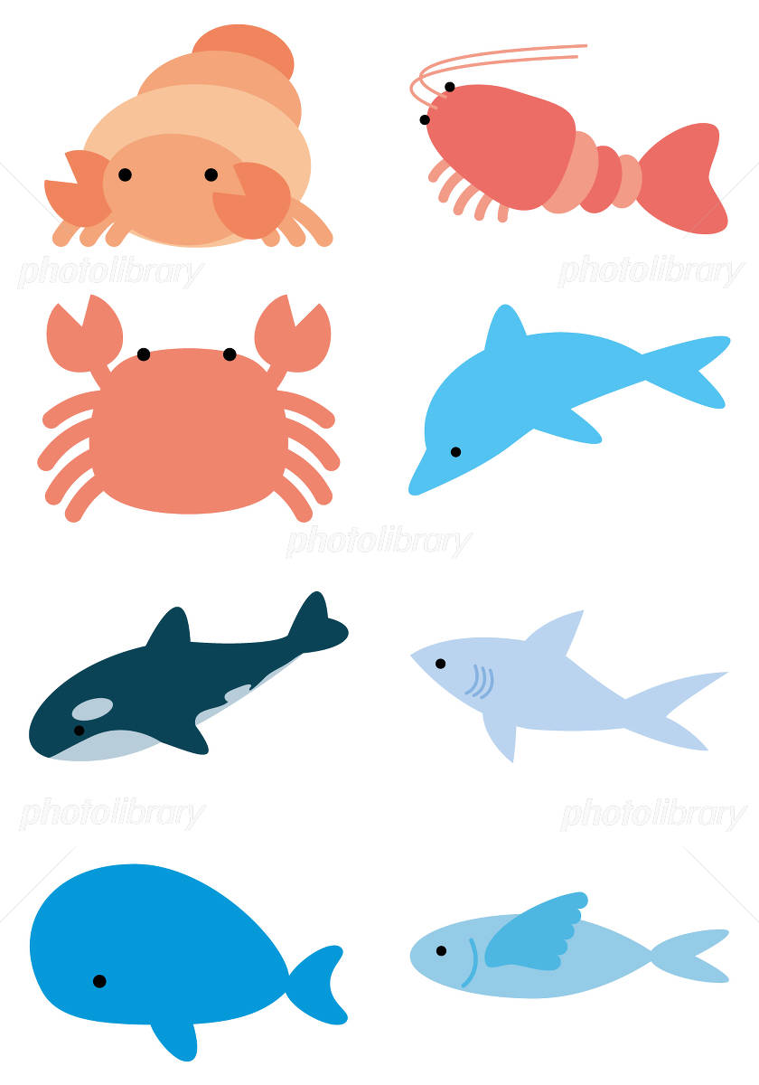 海の生き物イラスト徹底解説！無料・商用素材から保育の簡単技法まで網羅