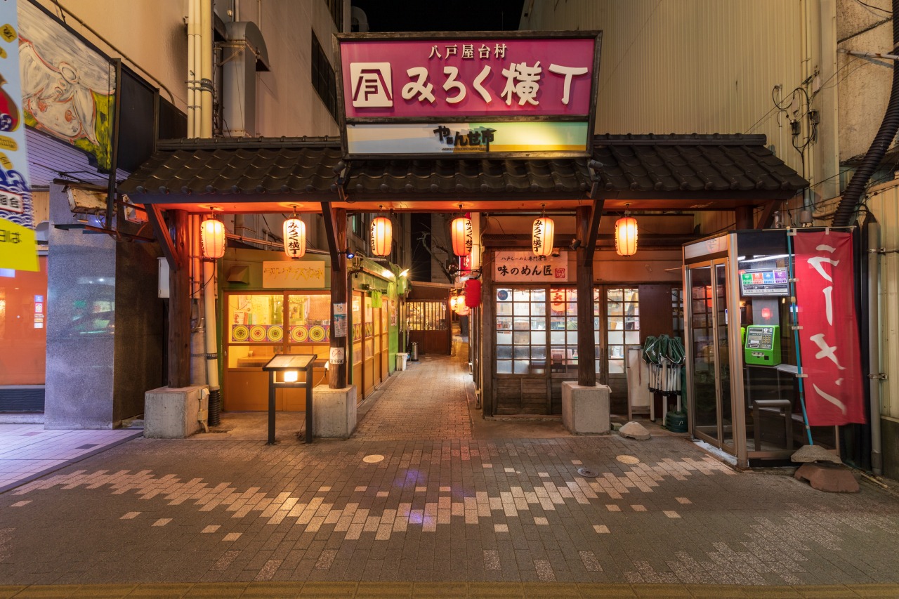 八戸みろく横丁完全攻略！名物グルメとハシゴ酒の鉄則を現地徹底解剖