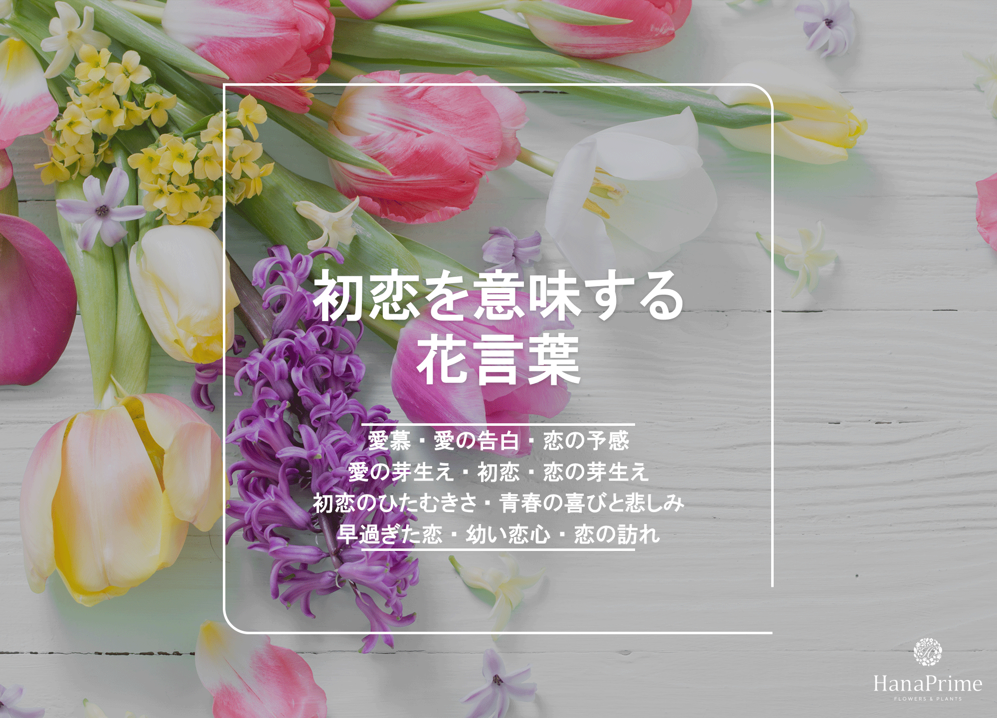 想いが届く恋愛の花言葉2026！告白・プロポーズから贈るNgな花まで
