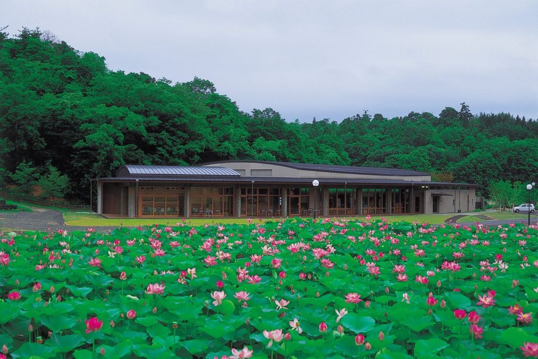 荒神谷博物館と国宝銅剣358本の真相｜見どころ・アクセス徹底解剖