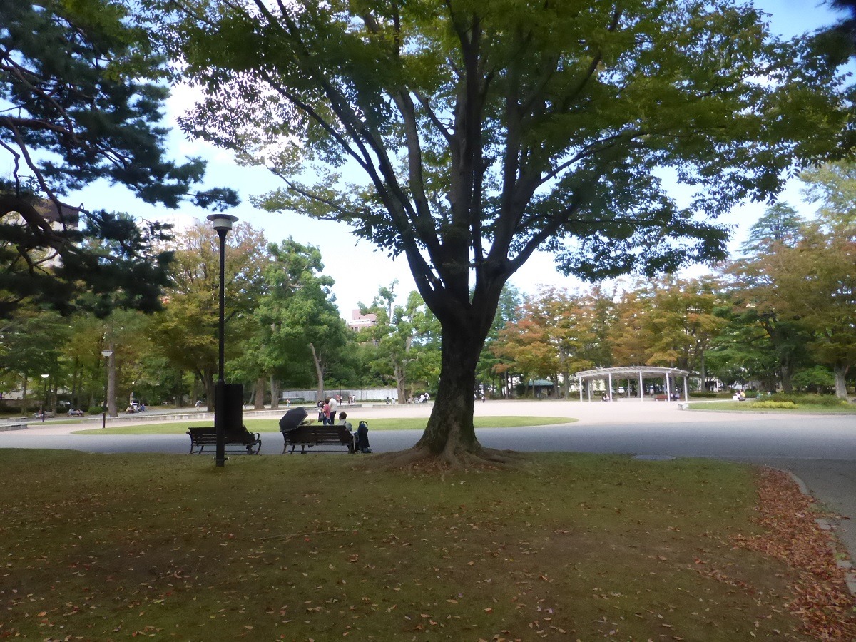 石川四高記念公園の全貌｜赤レンガの歴史から2026年最新活用法まで