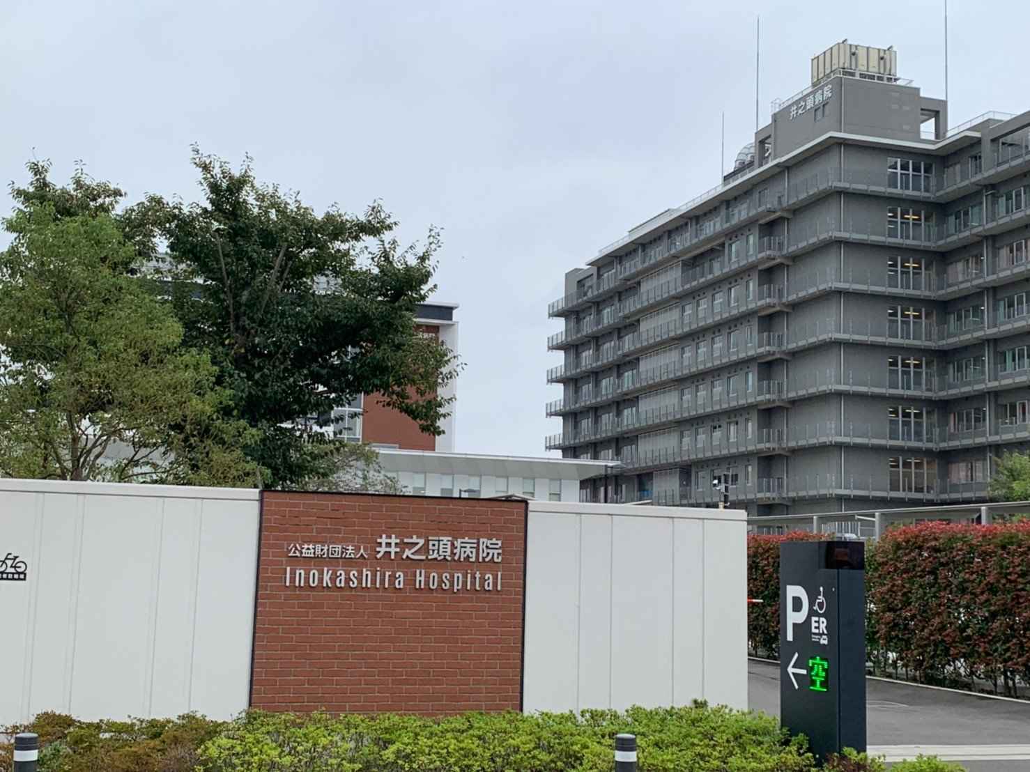 井之頭病院の評判と実態は？精神科・依存症治療と予約・費用を徹底検証