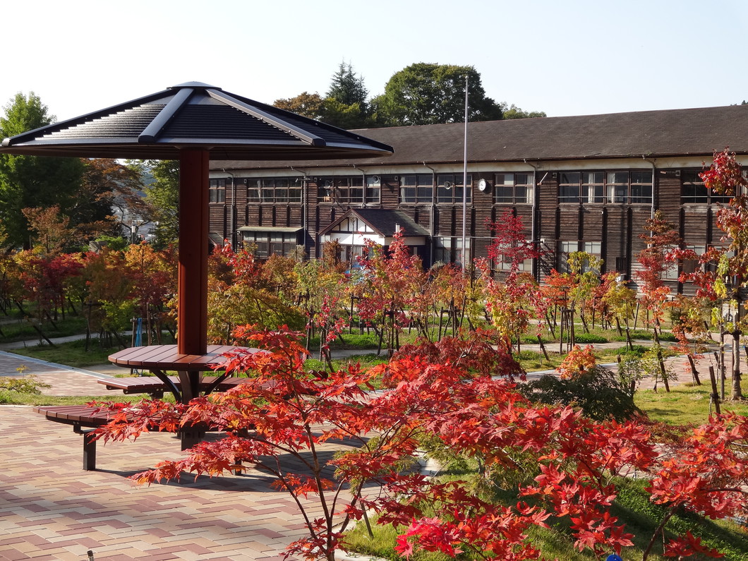 奈良カエデの郷ひらら徹底解説！紅葉・新緑の見頃とカフェ混雑対策