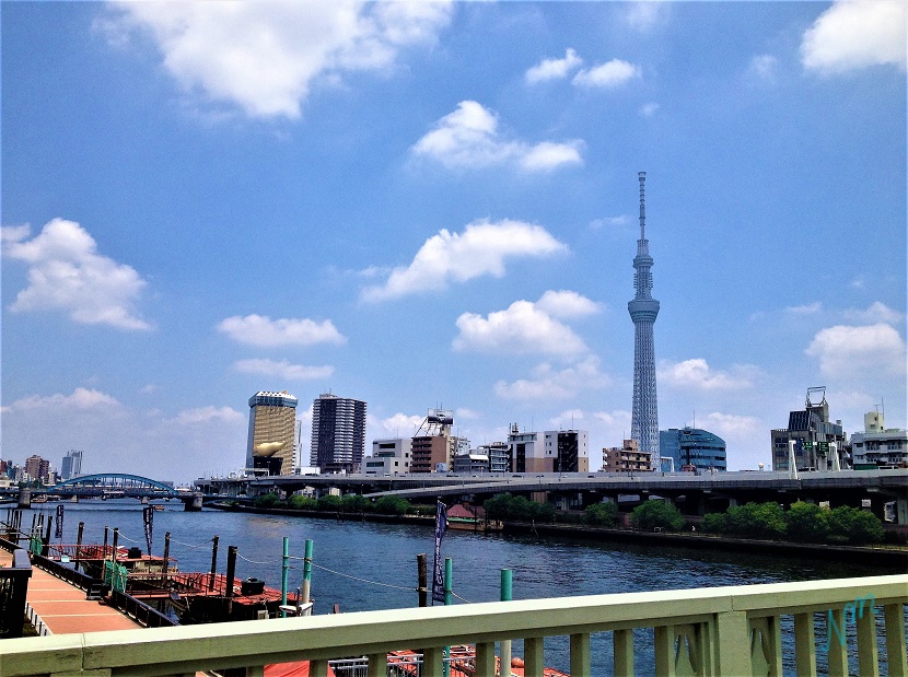 2026年東京の美術館が熱狂した理由！チケット完売と混雑回避の全貌