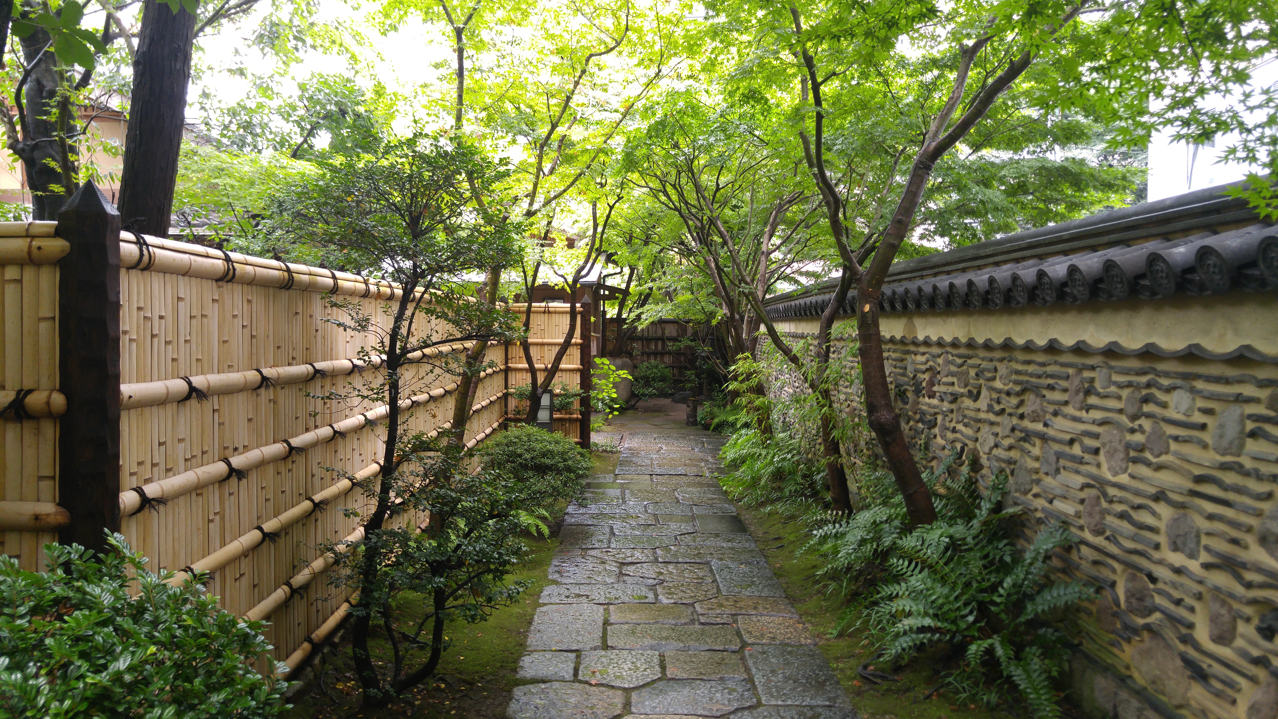 博多の隠れ家日本庭園「楽水園」見どころと抹茶体験・紅葉攻略2026