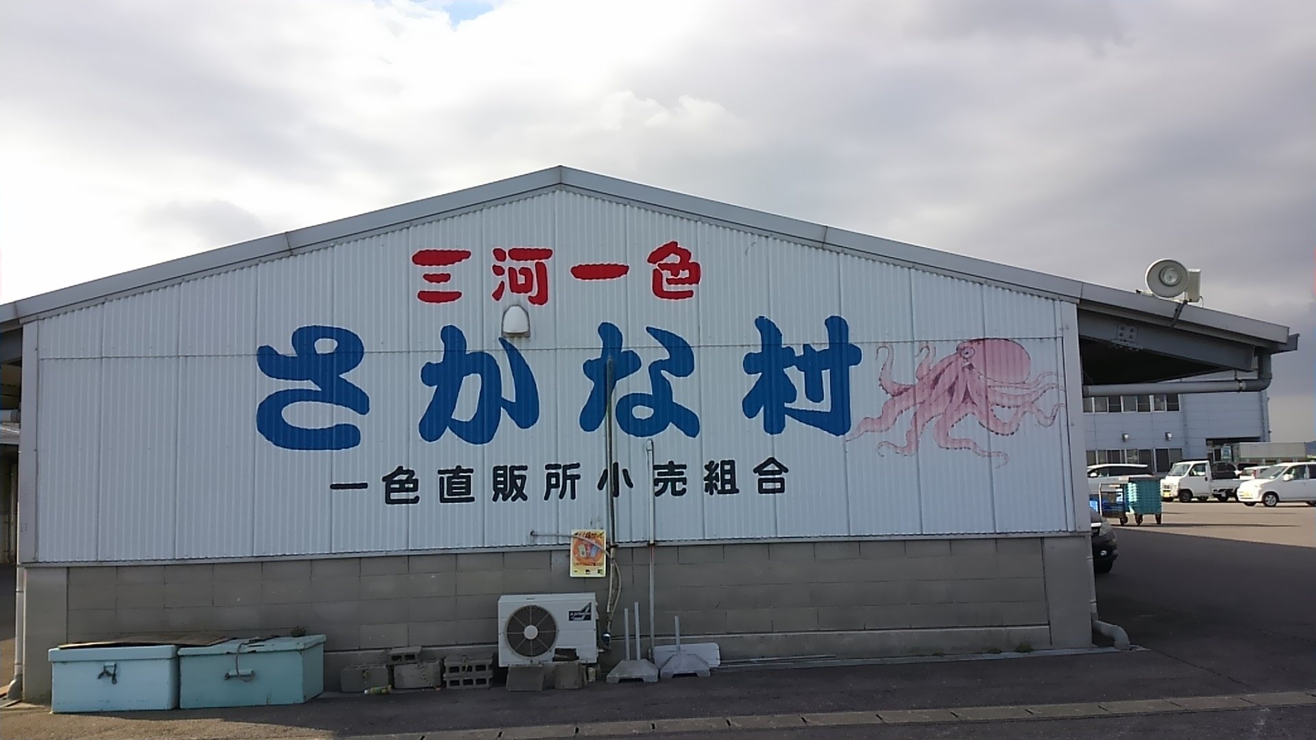 三河一色さかな村はなぜ安い？朝市の営業時間と一般人の買い方攻略