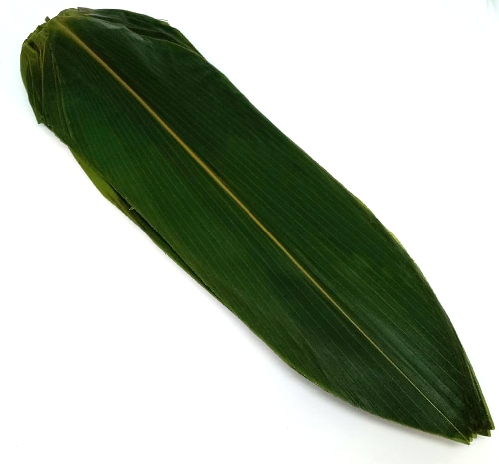 七夕や料理でなぜ笹の葉を使うのか？驚きの抗菌効果と長持ち保存術