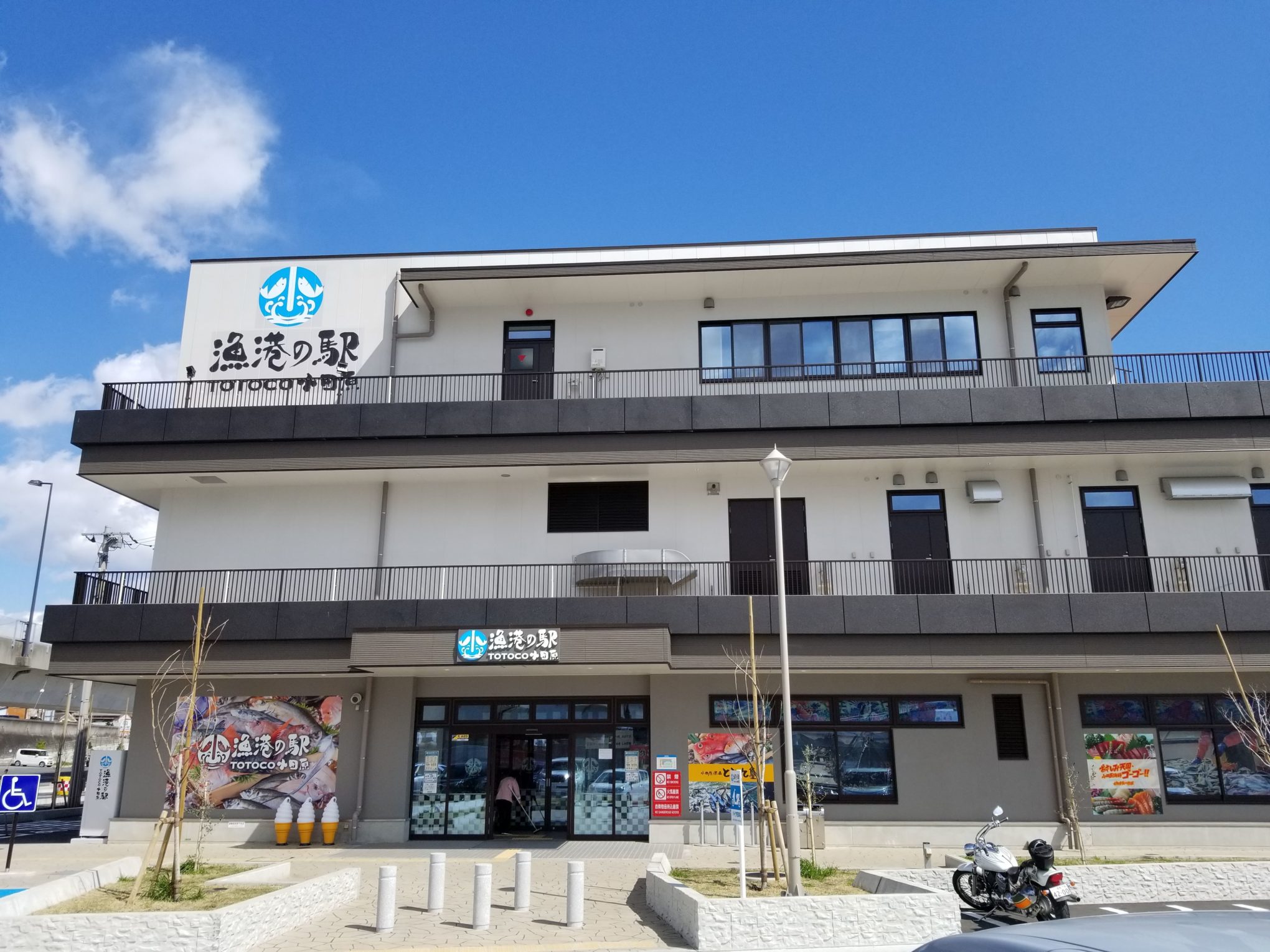 小田原漁港とと丸食堂の行列攻略！頂上丼の魅力と待ち時間ゼロの裏技