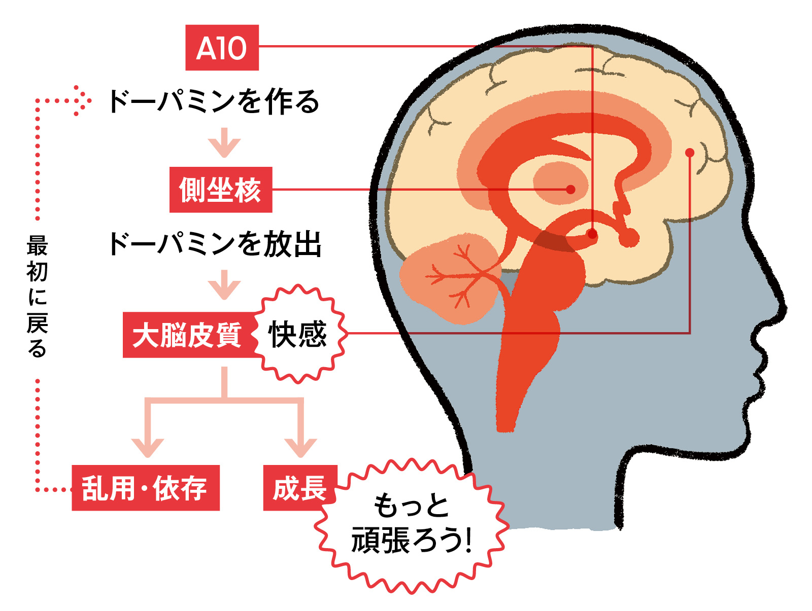 「やめられない」の正体は？依存症を生むドーパミン暴走と脳の仕組み
