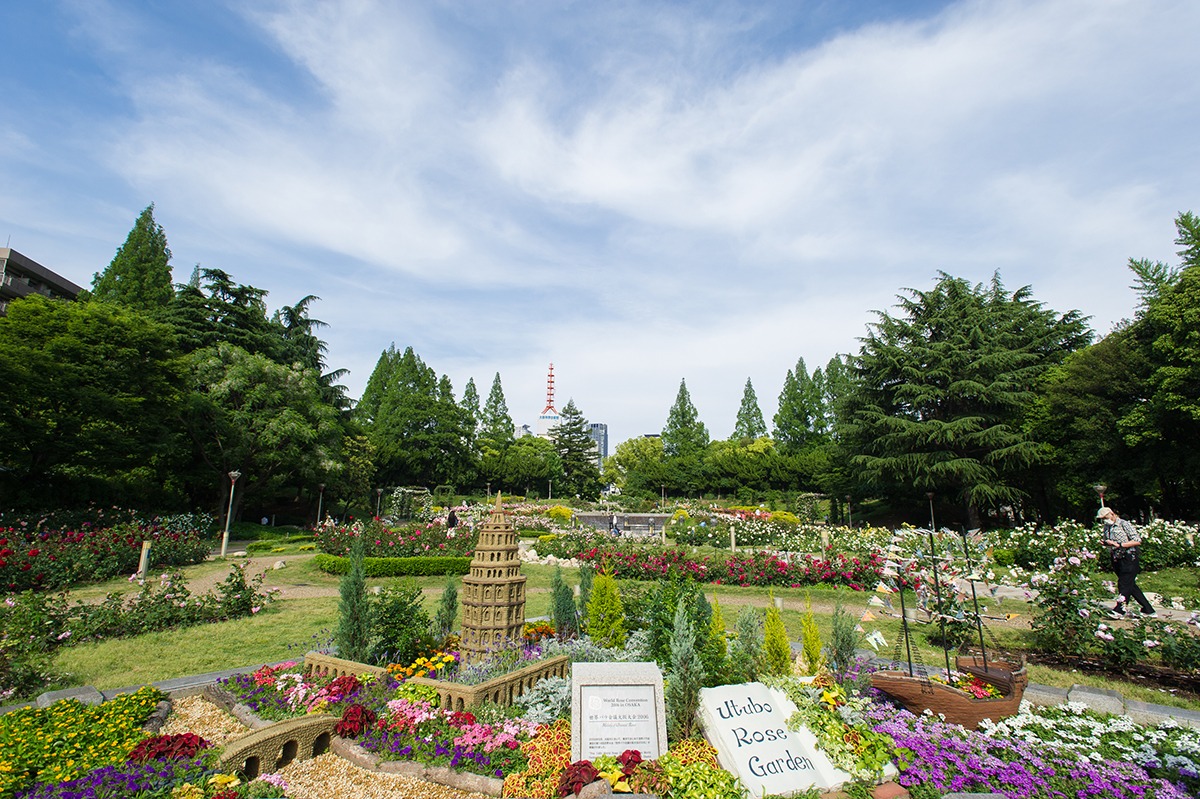 都会のオアシス靱公園を完全解剖！バラ園と隠れ家カフェ巡り