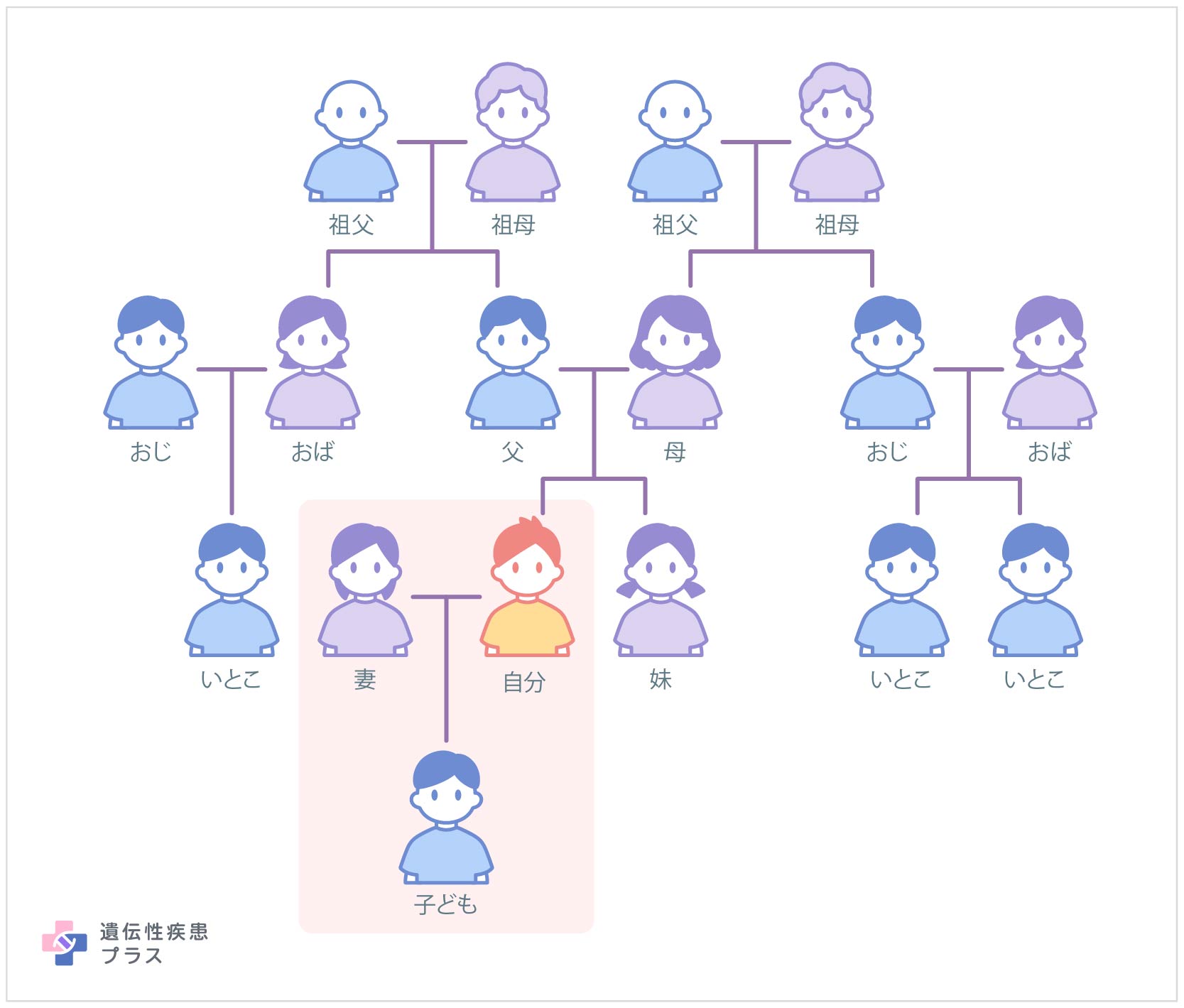 家族歴とは何か？医師が教える遺伝との違いと保険への影響