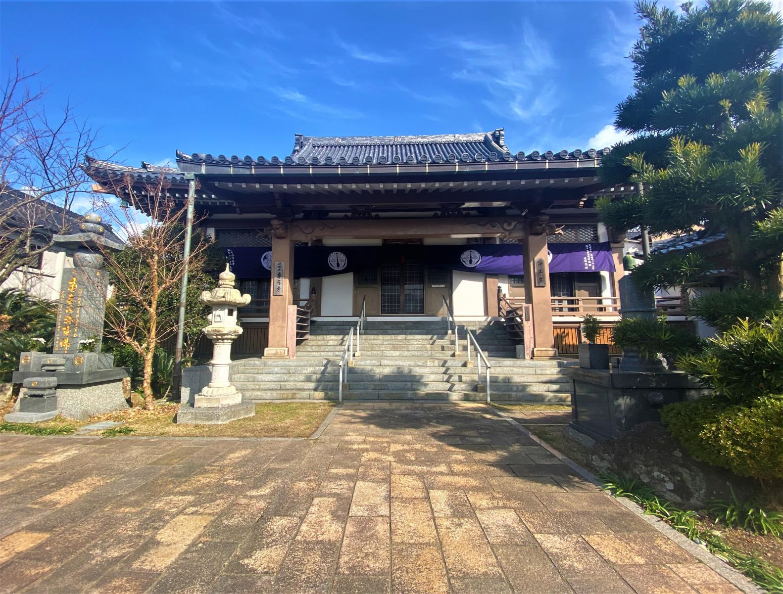 【2026年最新ルポ】歴史の街・平野で異彩を放つ「専念寺」の変革——猫、アート、そして地域コミュニティが紡ぐ新しい寺院の姿