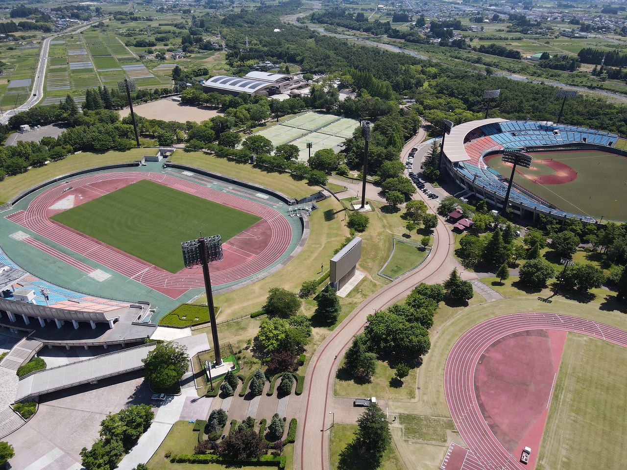 あづま総合運動公園2026攻略！イチョウ並木や混雑回避の駐車場裏ワザ
