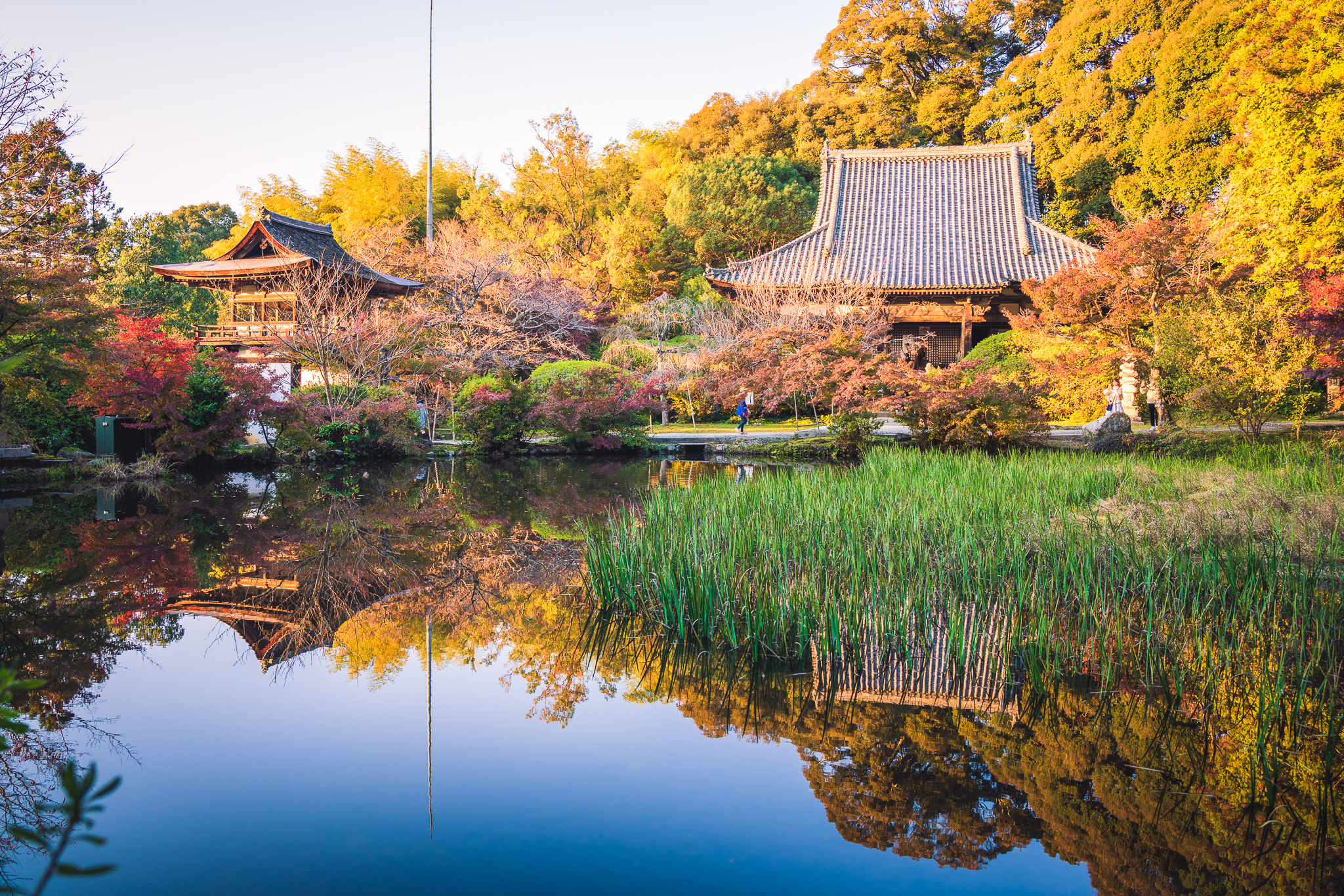 奈良・長岳寺の見どころ完全解説！ツツジの絶景から地獄絵・素麺まで