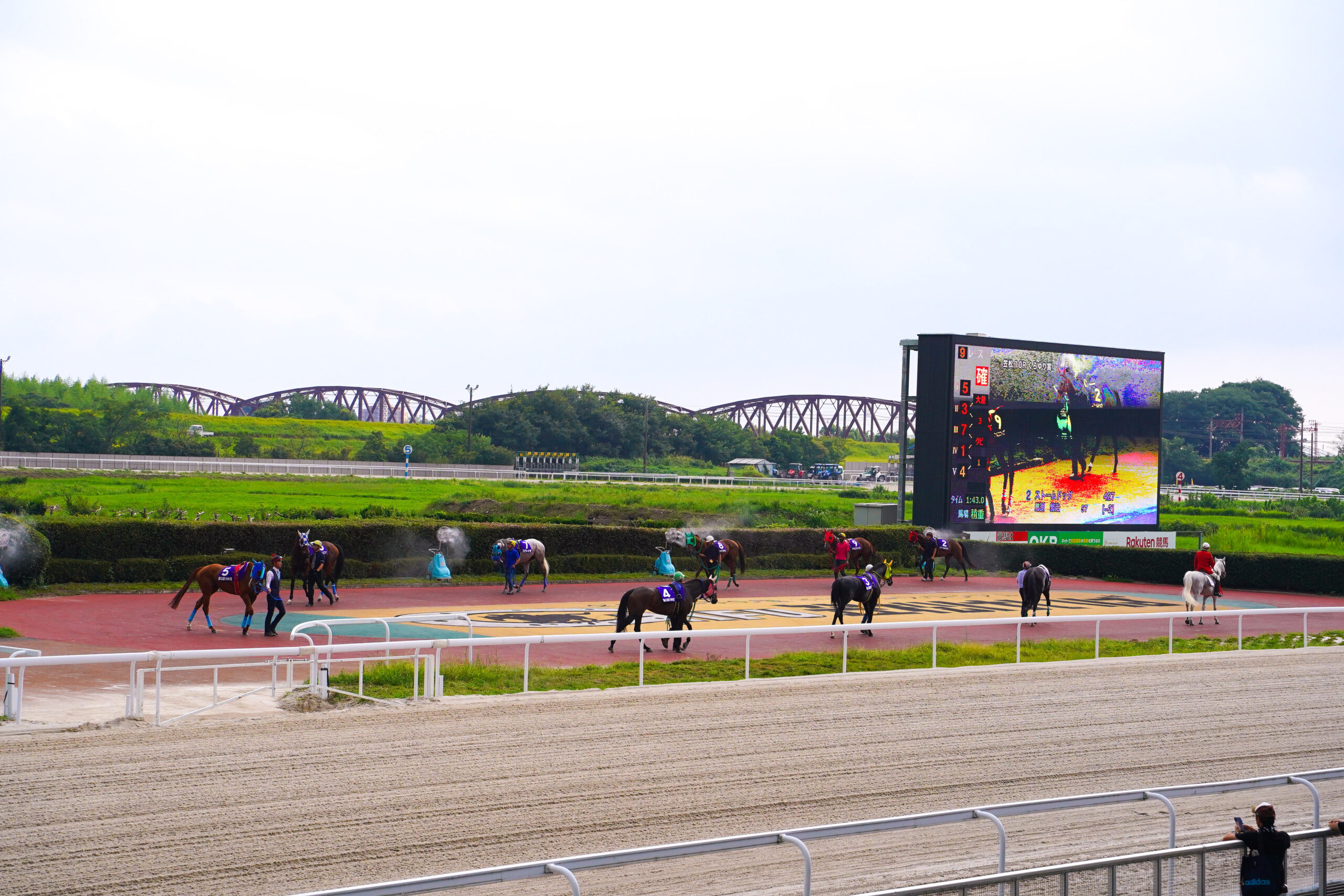オグリの聖地・笠松競馬場の現在を徹底解剖！コース特徴と勝つ予想戦略