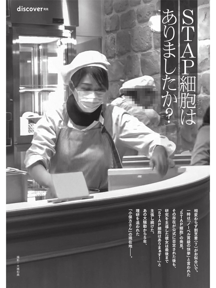 小保方晴子の現在2026｜ケーキ屋勤務と結婚の真相・最新の姿を追跡