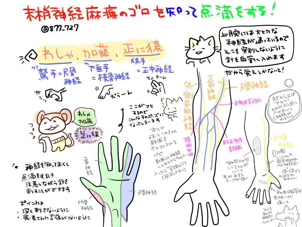 採血の神経損傷で腕のしびれ？治る期間と後遺症リスクを徹底解説
