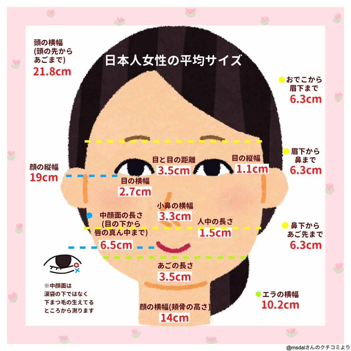 中顔面の長さ平均は何Cm？理想の黄金比と小顔を叶える最新術