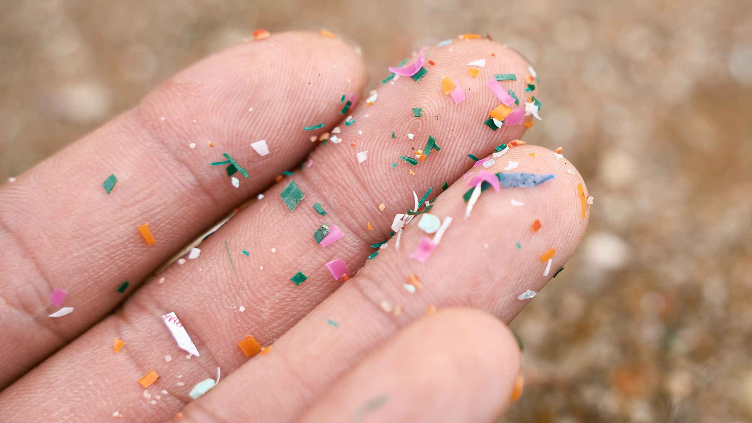 マイクロプラスチックとは？体内蓄積の真相と人体影響【2026最新】