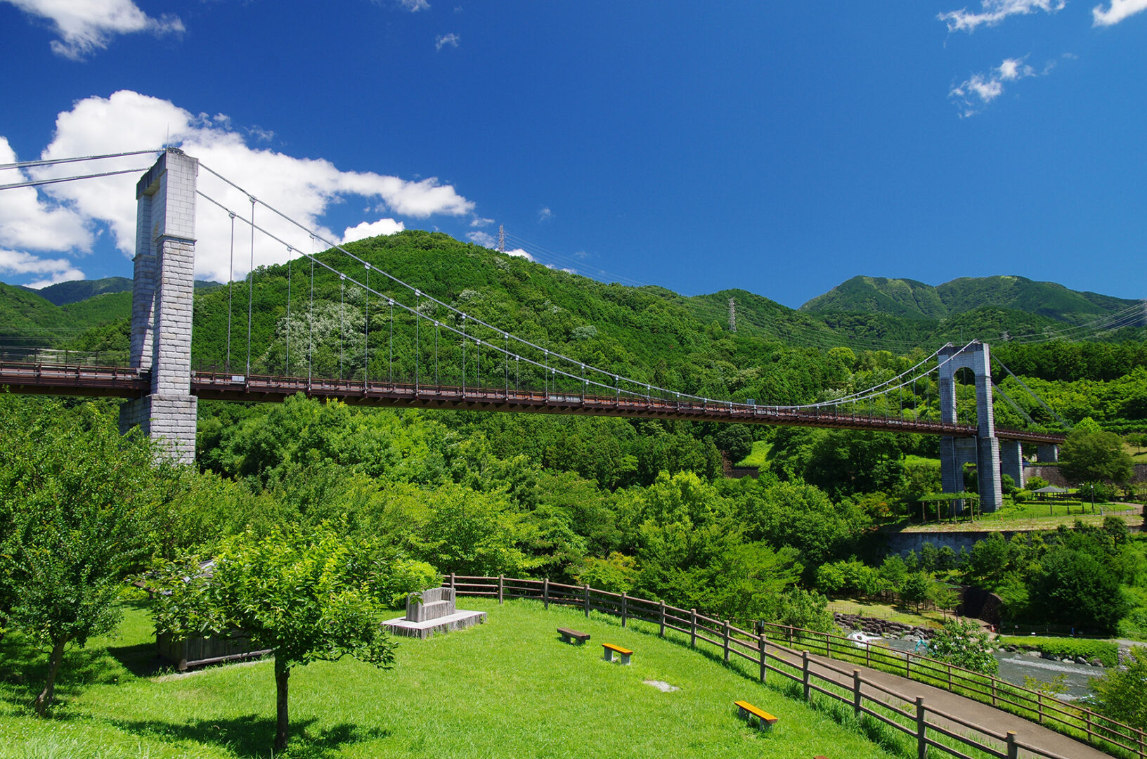 秦野戸川公園の決定版！風の吊り橋・絶景の花々と駐車場裏ワザ解説