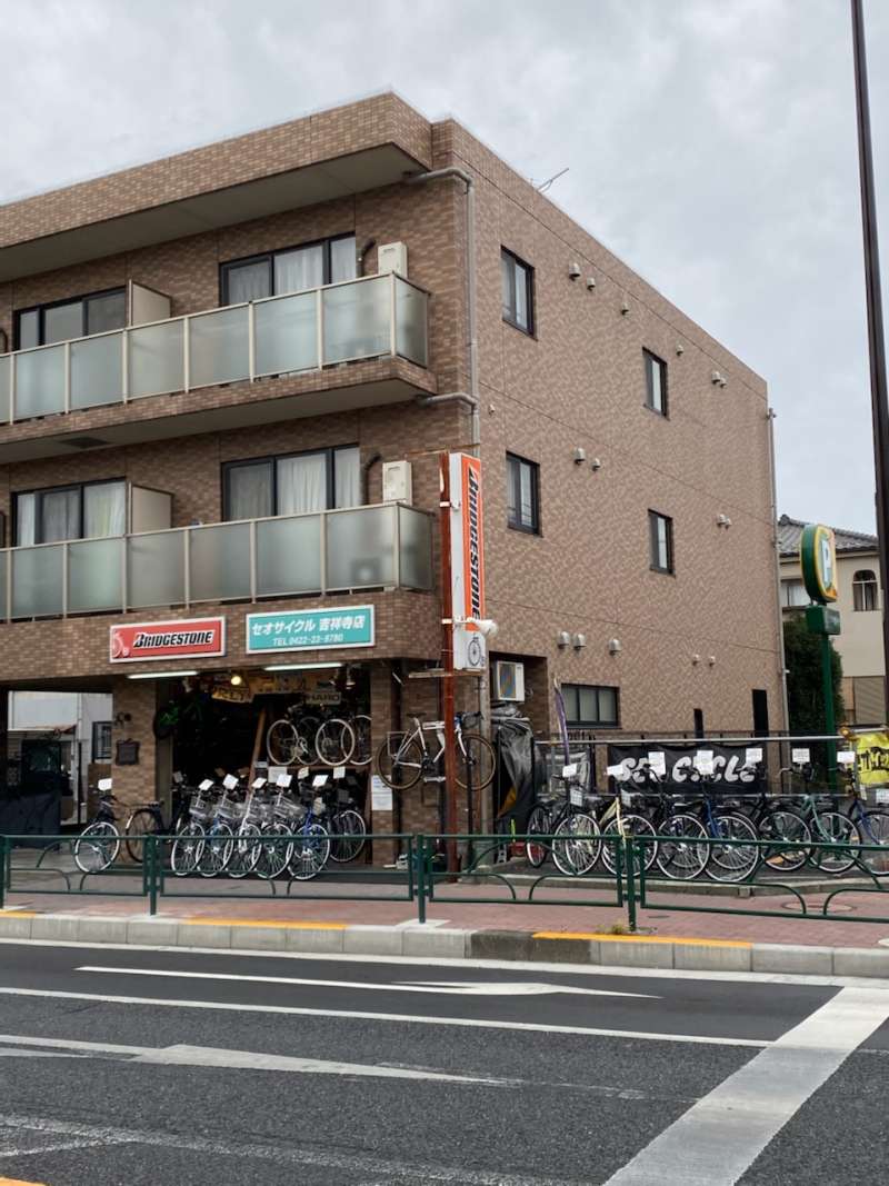 中1読書感想文で書きやすい本7選！原稿用紙がサクサク埋まる名作を徹底解説
